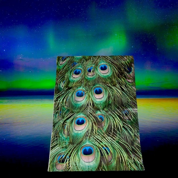 25 10X13 Poly Mailers Peacock Eyes PRICE IS FIRM - Picture 9 of 11